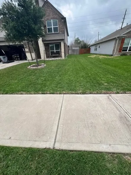 Freshly cut front lawn with clean mow lines beside a two-storey brick home