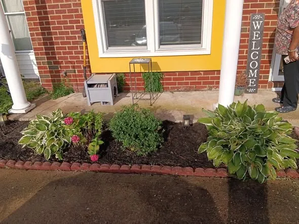 Flower bed after a cleanup, freshly mulched with shaped shrubs and flowers